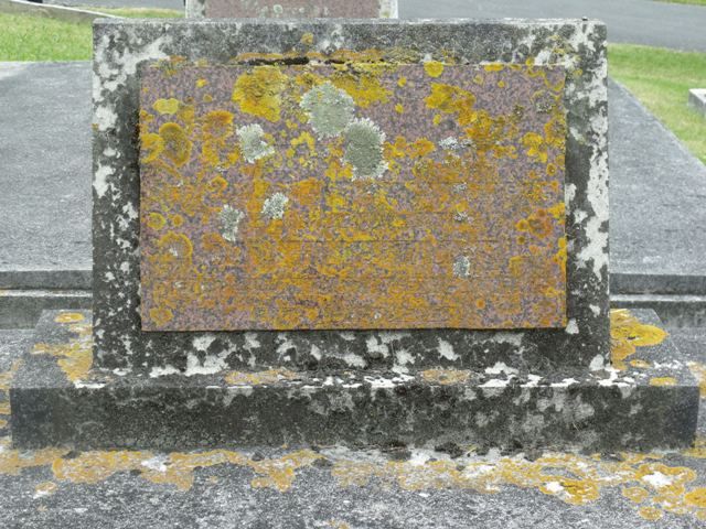 020ii106
