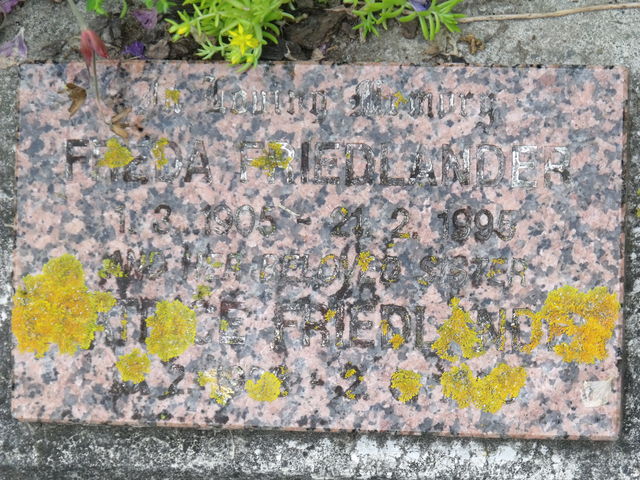 02aga084