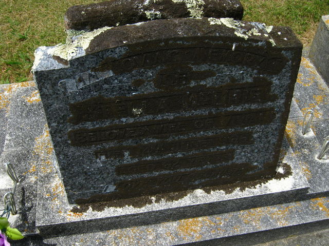 03lawn023