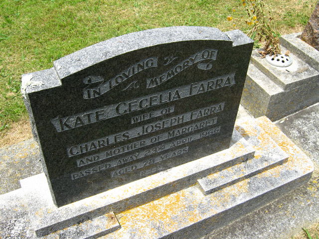 03lawn025
