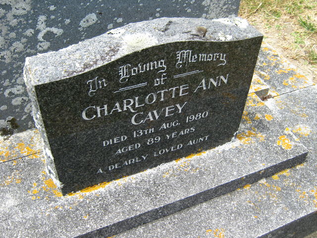 03lawn256
