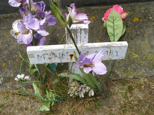 03lawn259