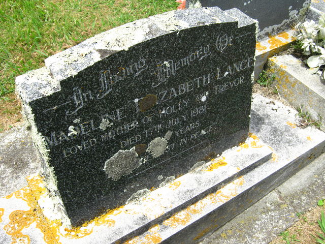 03lawn268