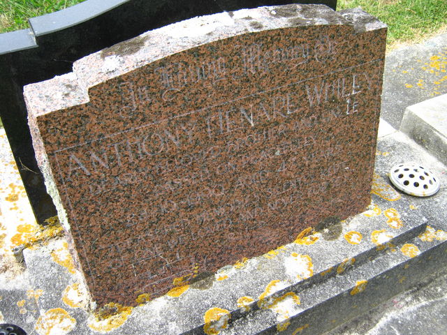03lawn466