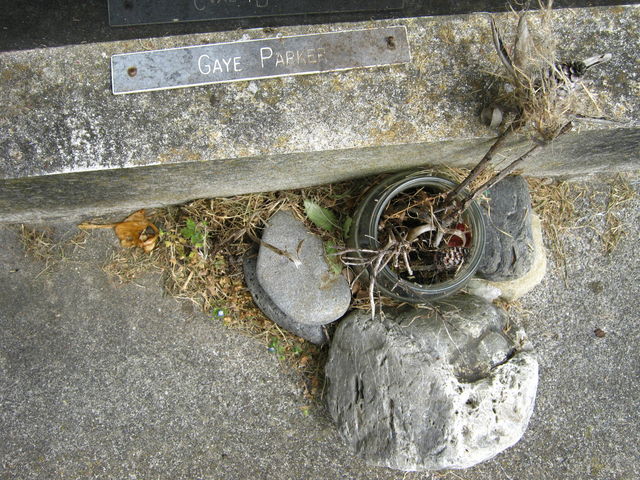 03lawn551