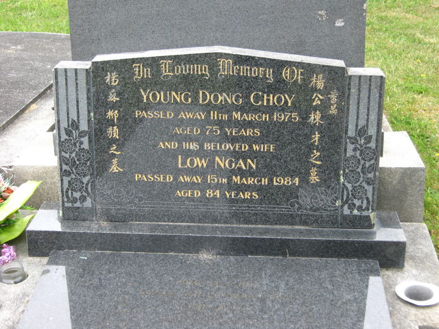 03nwln084