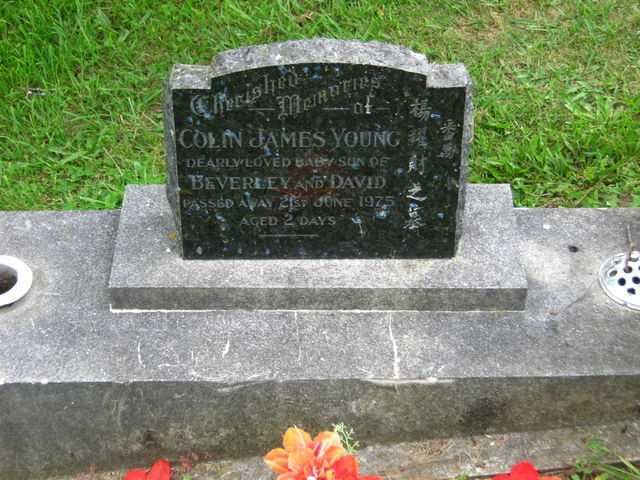 03nwln087