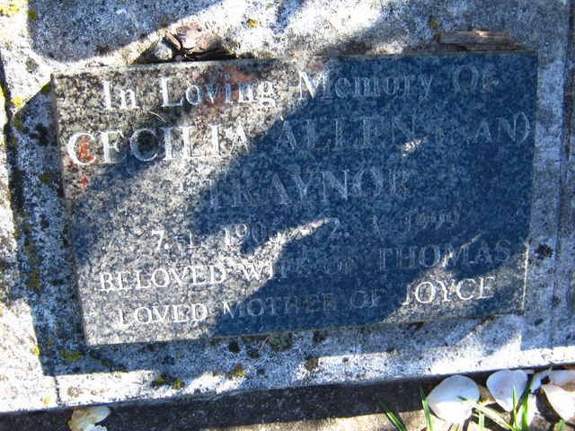 04cgc065